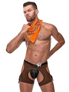 Male Power Cocky Cowboy Costume - L / XL — Lingerie • Brown