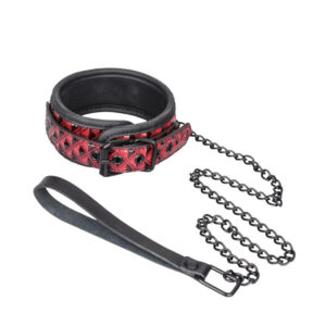 Magic Touch Fun Collar With Leash