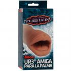 Noches Latinas Ur3 Palm Pal Mouth Global Shipping