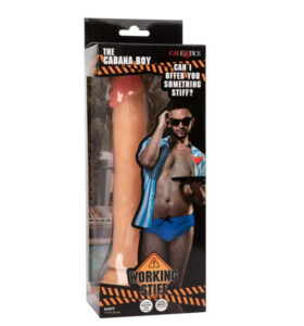 Working Stiff The Cabana Boy